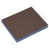 Lot De 10 éponges Abrasives 98 X 120 X 13 Mm 2 Faces Gr. 100 Pour Bois Et Métal - 9898100 - Leman 1 Lot De 10 éponges Abrasives 98 X 120 X 13 Mm 2 Faces Gr. 100 Pour Bois Et Métal - 9898100 - Leman -LEMAN Soldes Boutique 15062489 1