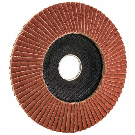 LEMAN Disque à Lamelle Ø 125 Mm 4 LEMAN Disque à Lamelle Ø 125 Mm – Image 2